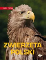 Nasza Polska Zwierzęta Polski - Sylwia Weber
