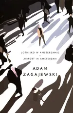 Lotnisko w Amsterdamie/Airport in Amsterdam - Adam Zagajewski