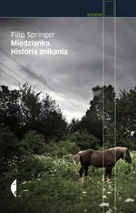 Miedzianka. Historia znikania (wydanie 3 rozszerzone) - Filip Springer
