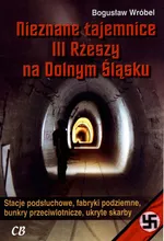 Nieznane tajemnice III Rzeszy na Dolnym Śląsku - Outlet - Bogusław Wróbel