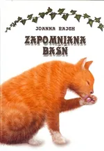 Zapomniana baśń - Joanna Rajch