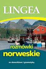 Rozmówki norweskie ze słownikiem i gramatyką - Outlet - Praca zbiorowa