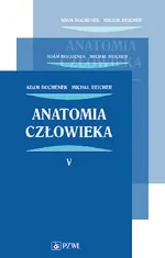 Anatomia człowieka Bochenek Reicher PAKIET: tom 1-5