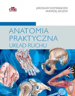 Anatomia praktyczna Układ ruchu - J. Domaradzki