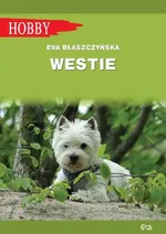 Westie - Eva Błaszczyńska