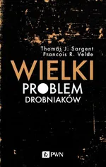 Wielki problem drobniaków - Francois R. Velde