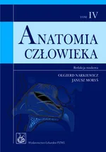Anatomia człowieka t.4 - Olgierd Narkiewicz