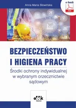 Bezpieczeństwo i higiena pracy. Środki ochrony indywidualnej w wybranym orzecznictwie sądowym (e-book) - Anna Maria Słowińska
