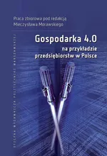 Gospodarka 4.0 na przykładzie przedsiębiorstw w Polsce - Mieczysław Morawski