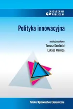 Polityka innowacyjna - Łukasz Mamica