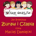 Polskie wiersze - Żuraw i Czapla - Jan Brzechwa