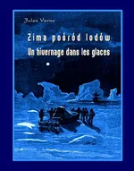 Zima pośród lodów - Un hivernage dans les glaces - Juliusz Verne