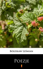 Poezje - Bolesław Leśmian