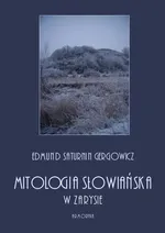 Mitologia słowiańska w zarysie - Edmund Saturnin Gregorowicz