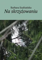Na skrzyżowaniu - Barbara Szafrańska