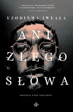 Ani złego słowa - Uzodinma Iweala