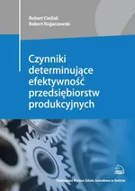 Czynniki determinujące efektywność przedsiębiorstw produkcyjnych - Robert Cieślak