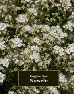 Nowele - Eugène Sue