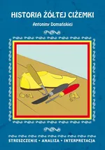 Historia żółtej ciżemki Antoniny Domańskiej. Streszczenie, analiza, interpretacja - Danuta Anusiak