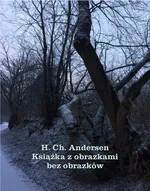 Książka z obrazkami bez obrazków - Hans Christian Andersen