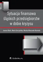 Sytuacja finansowa śląskich przedsiębiorstw w dobie kryzysu - Joanna Błach