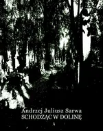 Schodząc w dolinę - Andrzej Juliusz Sarwa