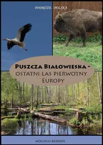 Puszcza Białowieska - Ostatni las pierwotny Europy - Wojciech Biedroń