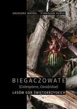 Biegaczowate (Coleoptera, Carabidae) lasów Gór Świętokrzyskich - Grzegorz Wróbel