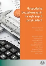 Gospodarka budżetowa gmin na wybranych przykładach - Albina Łubian