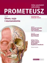 Prometeusz Atlas anatomii człowieka Tom III. Mianownictwo angielskie i polskie - Michael Schuenke