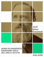 Adama Polanowskiego Dworzanina Króla JMCI Jana III. Notatki - Józef Ignacy Kraszewski