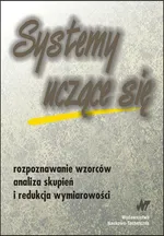 Systemy uczące się - Tomasz Górecki