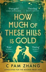 How Much of These Hills is Gold - Zhang C Pam