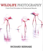 Wildlife Photography - Richard Bernabe