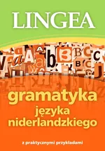 Gramatyka języka niderlandzkiego z praktycznymi przykładami - Praca zbiorowa