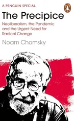 The Precipice - Noam Chomsky