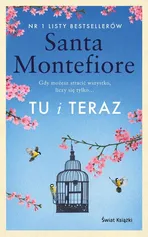 Tu i teraz - Santa Montefiore