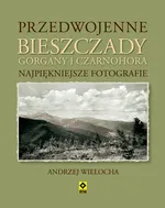 Przedwojenne Bieszczady Gorgany i Czarnohora Karpaty Wschodnie - Andrzej Wielocha