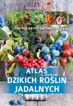 Atlas dzikich roślin jadalnych - Monika Fijołek