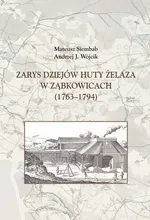 Zarys dziejów huty żelaza w Ząbkowicach (1763-1794) - Mateusz Siembab