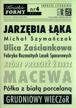 Jarzębia Łąka Krótkie Formy 4 - Michał Szymańczak