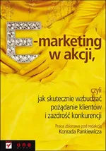 E-marketing w akcji - Outlet - Praca zbiorowa