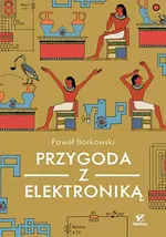 Przygoda z elektroniką - Paweł Borkowski
