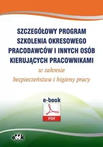 Szczegółowy program szkolenia okresowego pracodawców i innych osób kierujących pracownikami w zakresie bezpieczeństwa i higieny pracy (e-book)