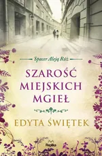 Szarość miejskich mgieł - Edyta Świętek