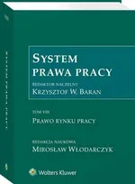 System Prawa Pracy. TOM VIII. Prawo rynku pracy - Andrzej M. Świątkowski