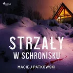 Strzały w schronisku - Maciej Patkowski