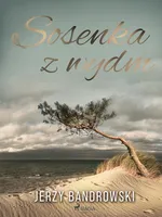 Sosenka z wydm - Jerzy Bandrowski