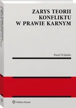 Zarys teorii konfliktu w prawie karnym - Paweł Wiliński