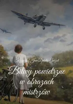 Bitwy powietrzne w obrazach mistrzów - Krzysztof Derda-Guizot